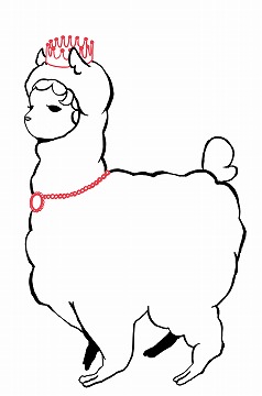 yahooalpaca.jpg