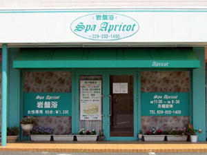 ibaraki-spa_apricot.jpg